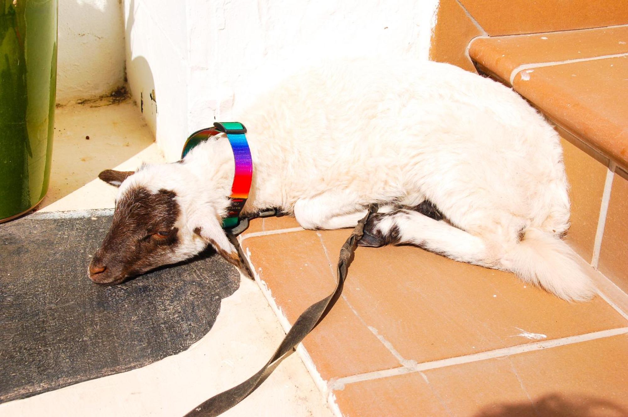 Casa Rural Ga7Colores Only Adult Montana Blanca エクステリア 写真