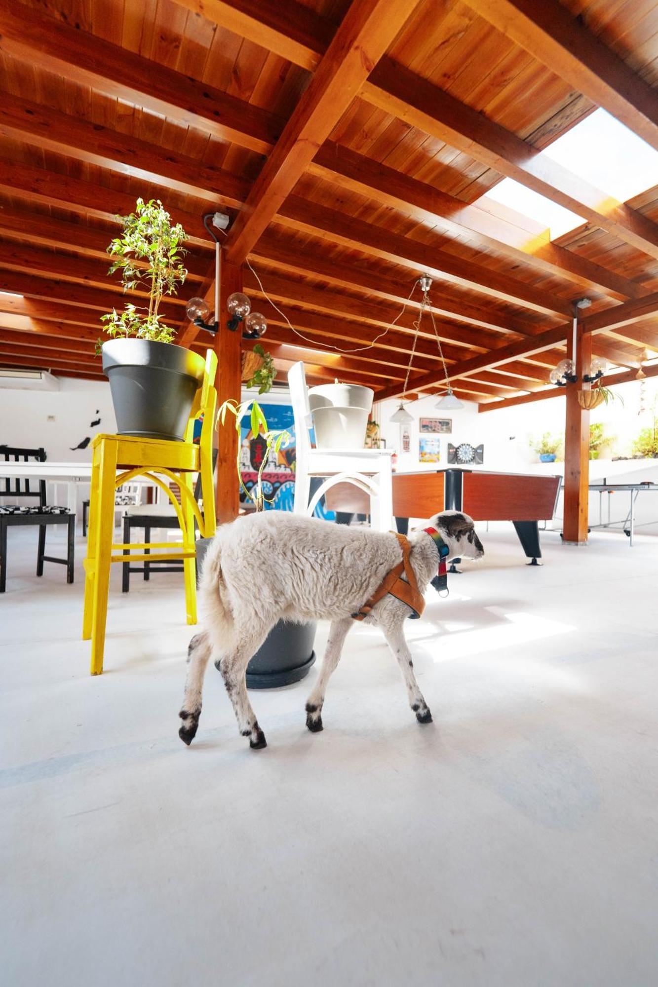 Casa Rural Ga7Colores Only Adult Montana Blanca エクステリア 写真